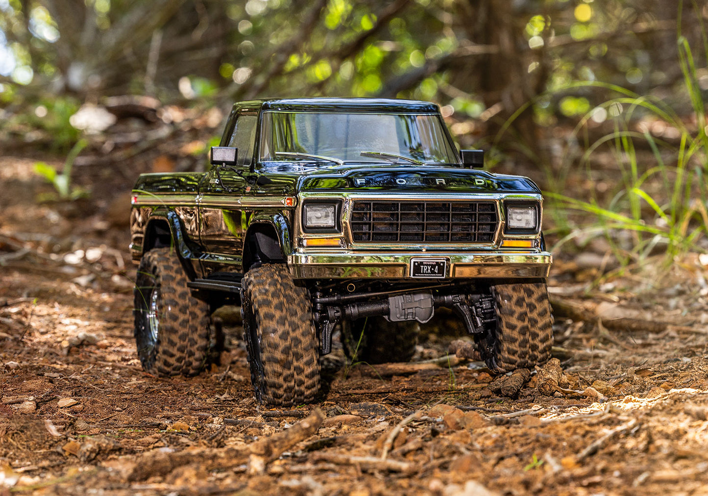 Traxxas TRX4 Sport Ford F-150 1/10